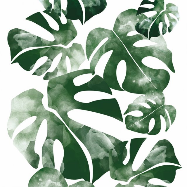 TAPETA MŁODZIEŻOWA MONSTERA LEAF