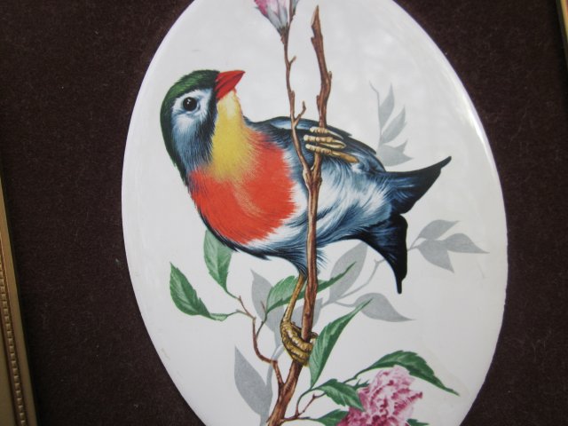 exotic birds - efektowny, rzadko spotykany medalion porcelanowy - obraz  w ramie - oryginalny bardzo dekoracyjny