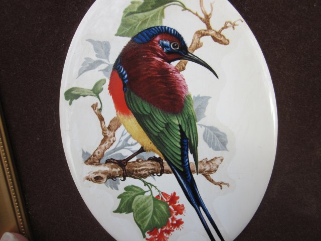 exotic birds - efektowny, rzadko spotykany medalion porcelanowy - obraz  w ramie - oryginalny bardzo dekoracyjny No. 5