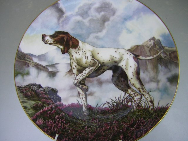 Royal Doulton 1997 "Dogs  in Action" POINTER