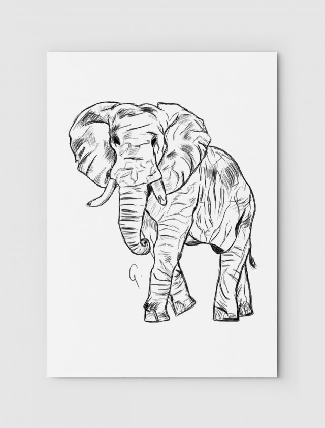 Słoń rysowany A4