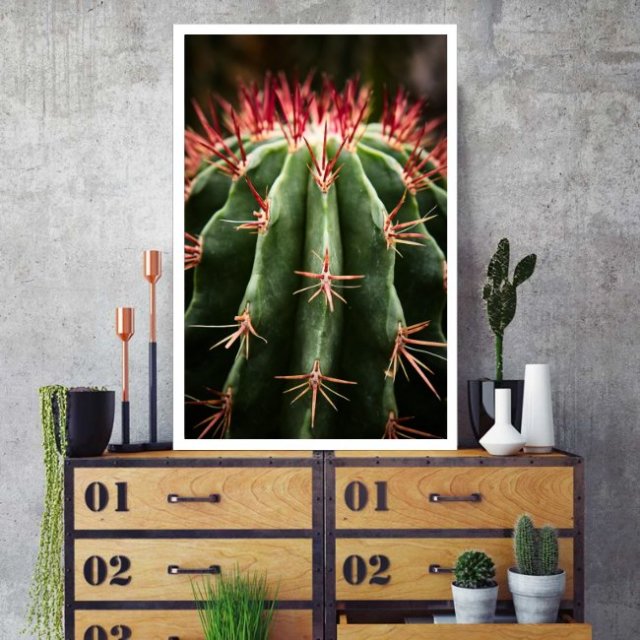 Plakat "Kaktus" A3