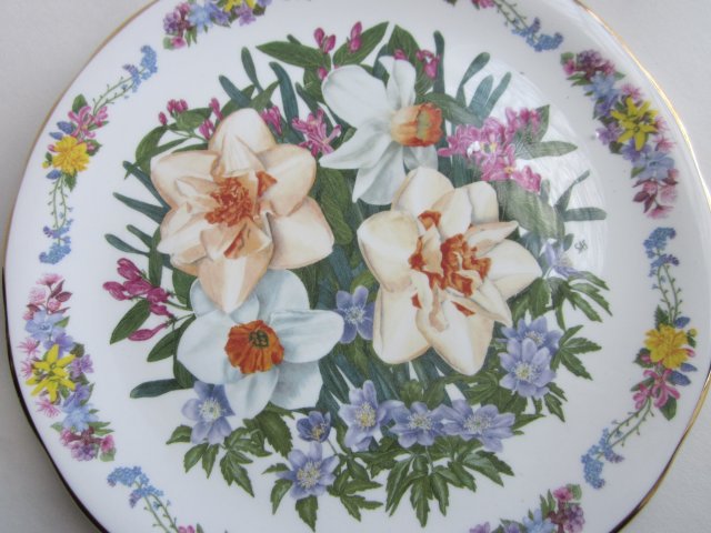 limited edition by Sara Anne Schofield -fields of HOPE collection - Royal GRAFTON - zjawiskowy  kolekcjonerski talerz porcelanowy  BRADEX