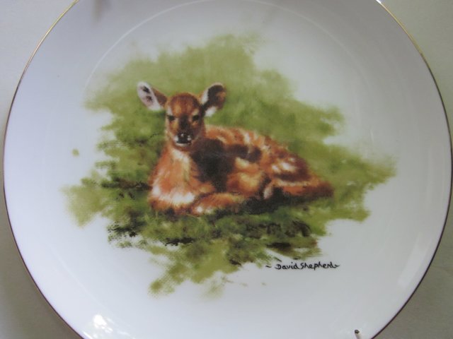 WEDGWOOD -NYALA CALF  BY  DAVID  SHEPHERD A WORLDWIDE LIMITED EDITION