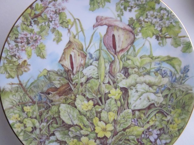 Royal GRAFTON - Sue WYATT -  uroczo botaniczny  -kolekcjonerski,   użytkowy  I dekoracyjny talerz porcelanowy