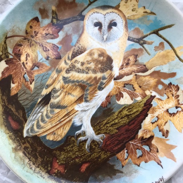 COALPORT ❀ڿڰۣ❀ Michael B. Sawdy - Barn Owl ❀ڿڰۣ❀ Limitowana edycja