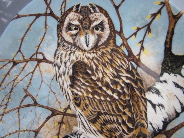 coalport 1990 by Michael  B. Sawdy - SHORT -EARED  OWL" -,  limitowana edycja - Bradex -   kolekcjonerski talerz porcelanowy