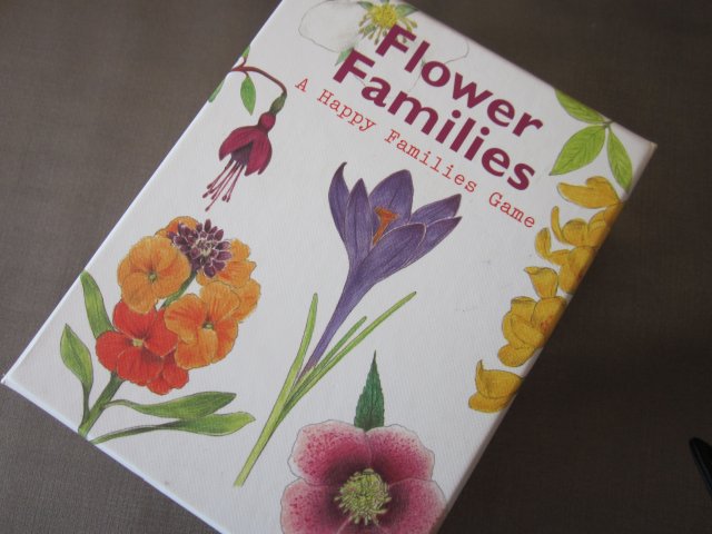 Flower  Families -A HAPPY FAMILIES GAME - ILLUSTRATIONS BY CHRISTINE  BERRIE 2017 DESIGN BY INCA STARZINSKY