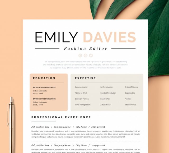 SZABLON CV | WZÓR CV | PROJEKT CV | CURRICULUM VITAE | "Davies"