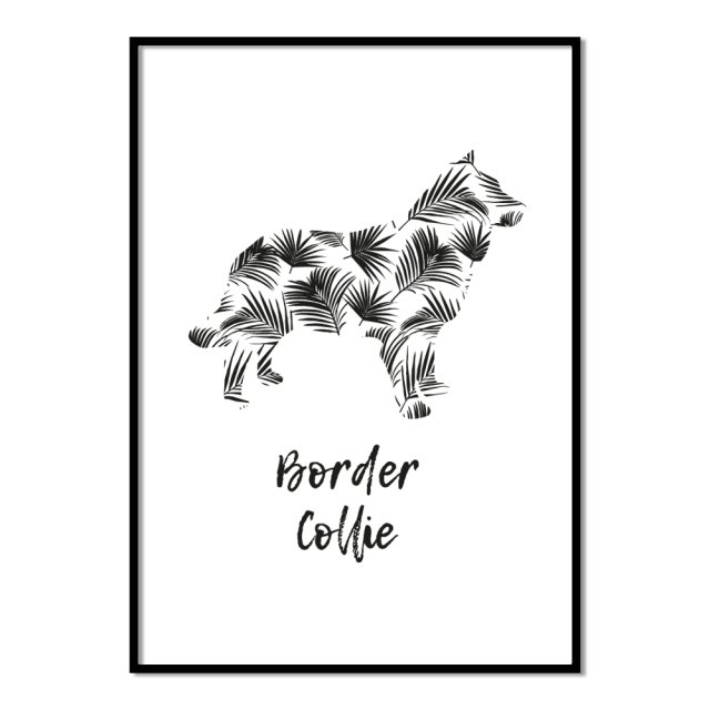 Plakat Border Collie Tropical