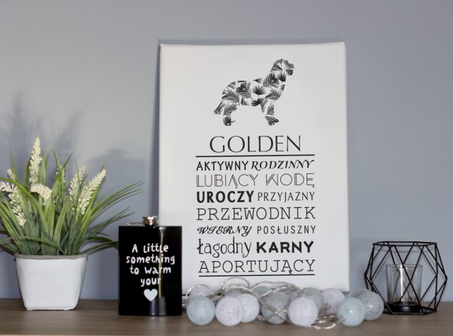 Obraz na płótnie -  typograficzny Golden Retriever