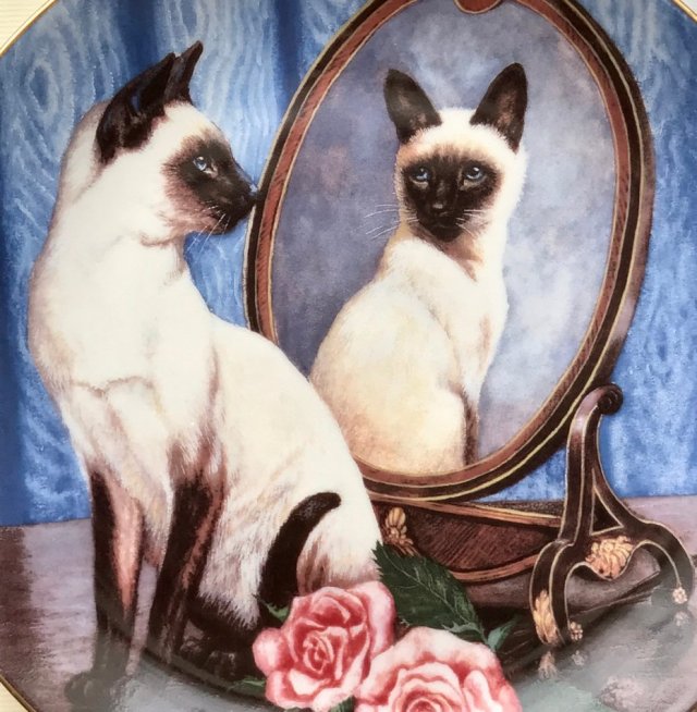 Najpiękniejsza... ❀ڿڰۣ❀ Franklin Mint Siamese Twins by Daphne Baxter ❀ڿڰۣ❀ Wyjątkowo uroczy