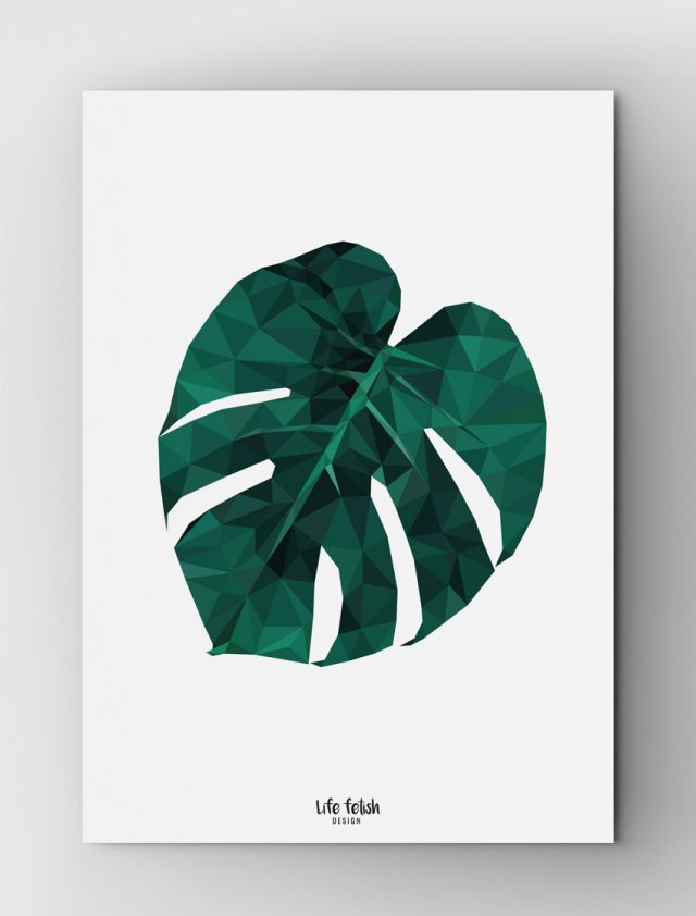 Monstera 2 | B2