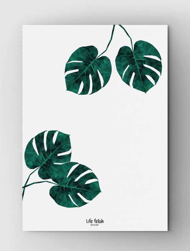 Monstera 3 | B2