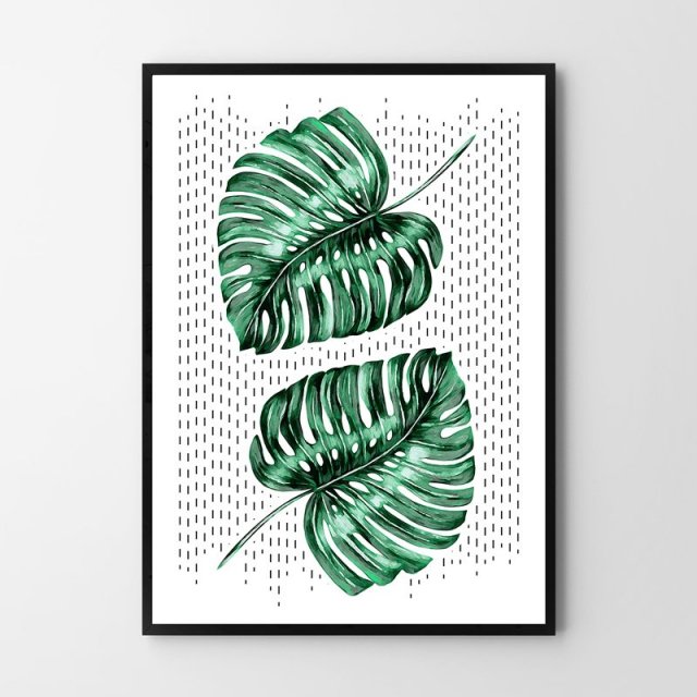 Plakat botaniczny monstera  50x70 cm B2