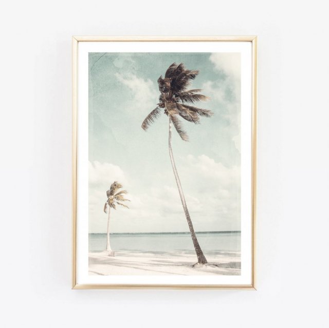 PALM VINTAGE FOTOGRAFIA PLAKAT A3 / 30 X 40