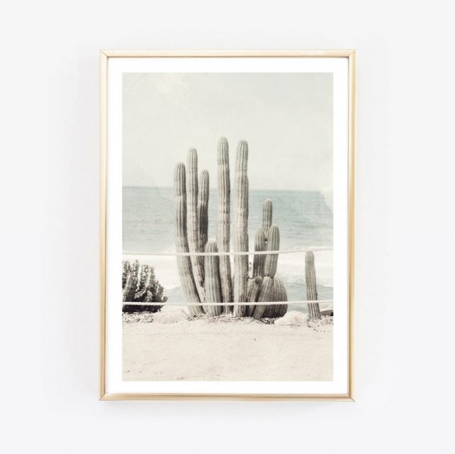 CACTUS VINTAGE FOTOGRAFIA PLAKAT A3 / 30 X 40