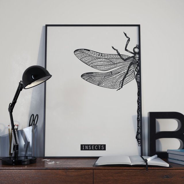 Plakat Ważka połowa A4