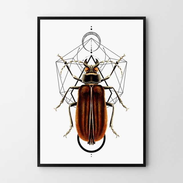 Plakat Geometria Robak 50x70cm B2