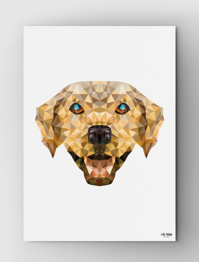 Piesek Wild B2