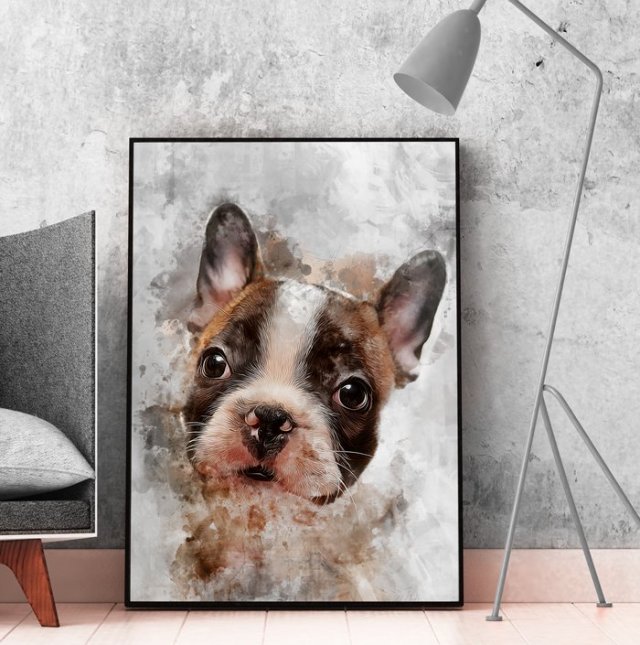 Plakat buldog francuski  50x70 B2