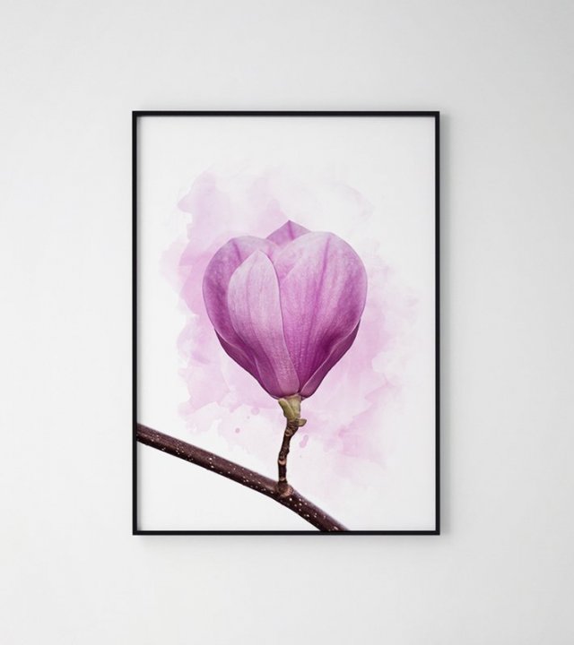 Plakat magnolia kwiat 50x70 cm