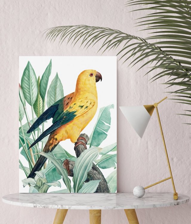 Plakat złota papuga - format 70x100 B1
