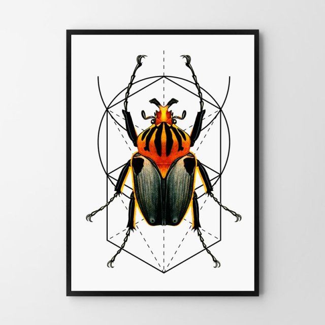 Plakat Geometria Robak 50x70cm B2