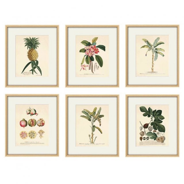 Botaniczne ilustracje grafiki  prezent