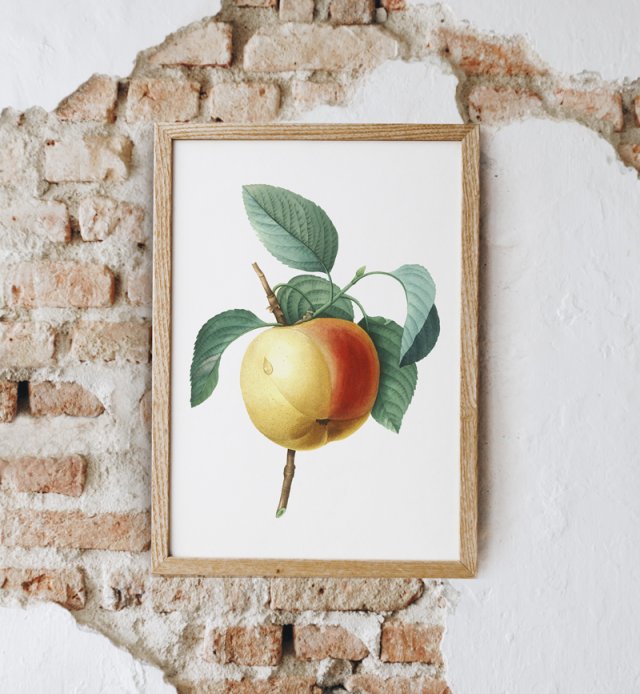 Plakat kwiaty vintage jabłko A3