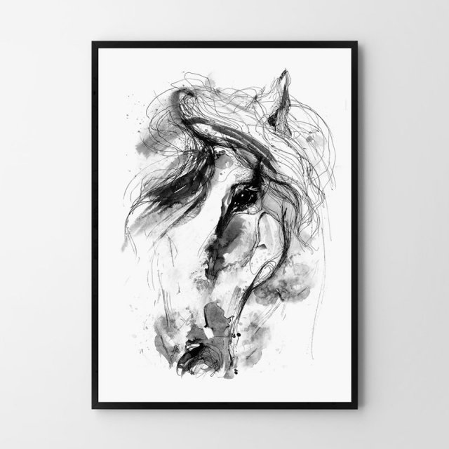 Plakat koń konie 50x70 cm B2