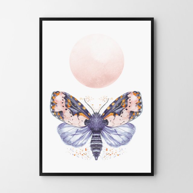 Plakat motylek, motyl 30x40 cm