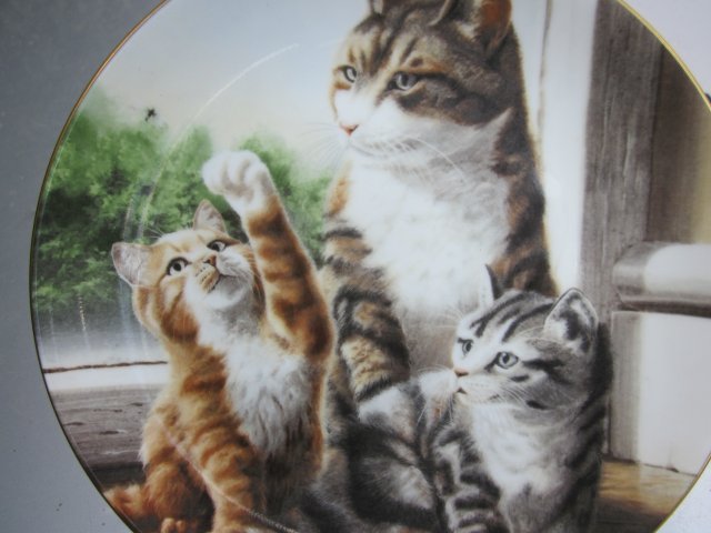 COALPORT -GOING HOME - CONTENMENT - FINE BONE CHINA - KOLEKCJONERSKI TALERZ PORCELANOWY