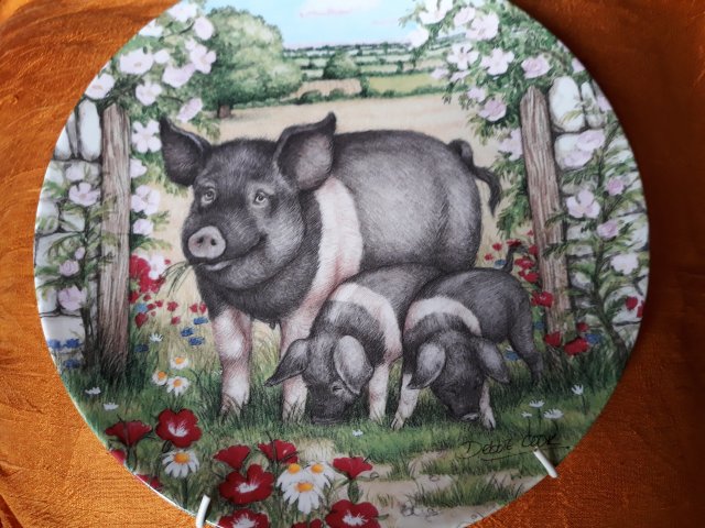 Royal Doulton 1997 - Rosie  by Debbie Cook a charming ' hampshire ' with  her piglets  in the ' collection kolekcjonerski talerz porcelanowy