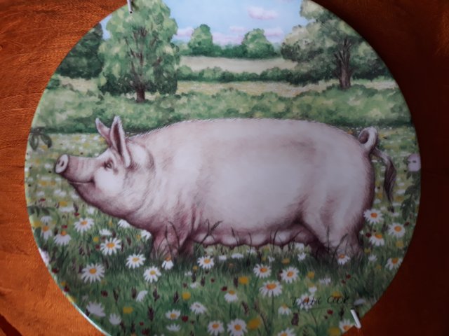 Royal Doulton 1997 - Daisy by Debbie Cook a charming ' large white' in the ' pigs in bloom' collection kolekcjonerski talerz porcelanowy