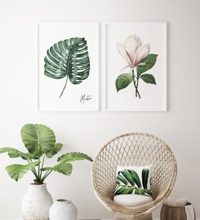 Zestaw plakatów monstera magnolia 50x70 cm