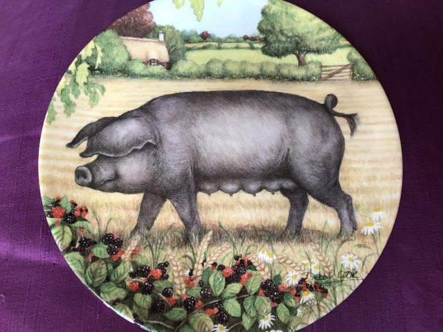 Royal Doulton 1997 - Bramble by Debbie Cook a charming ' hampshire ' with  her piglets  in the ' collection kolekcjonerski talerz porcelanowy z certyf