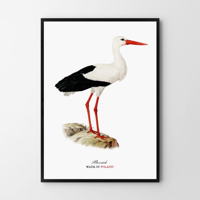 Plakat obraz bocian ptak made in Poland 40x50 cm