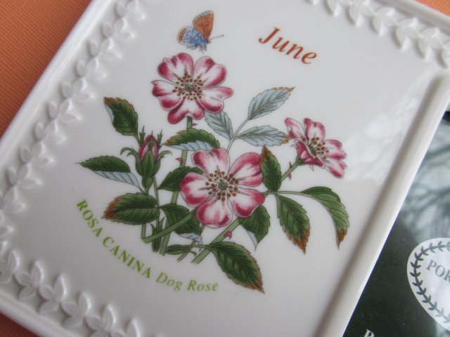 Portmeirion  BOTANIC GARDEN - JUNE - ROSA  CANINA -DOG ROSE -SUSAN WILLIAMS ELLIS -PORCELANOWA RAMKA