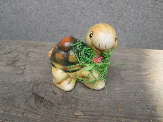 Wesoły żółw