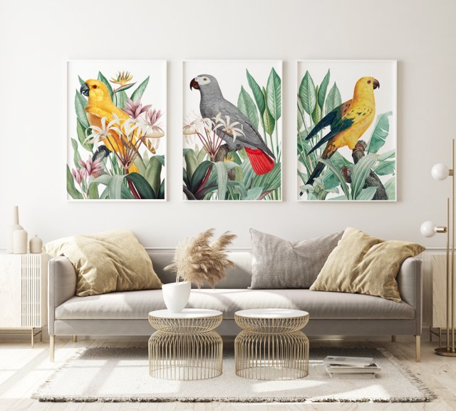 Zestaw 3 plakatów retro vintage papuga papugi  A3