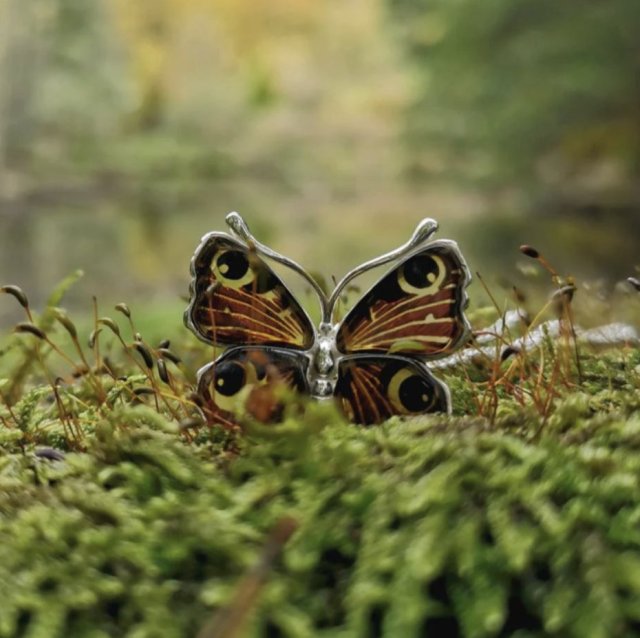 WISIOREK MOTYL PAWIE OKO