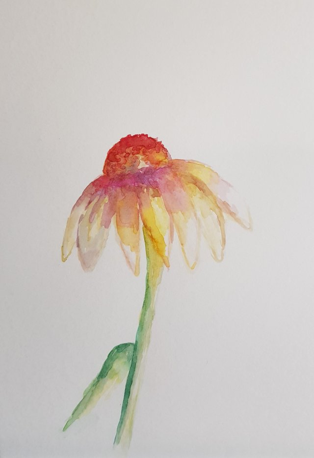 Kwiatek - obraz  akwarela