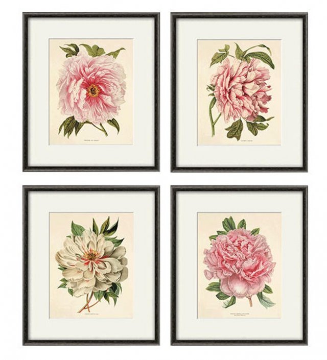 Kwiaty plakat botaniczny  zestaw 4x A4