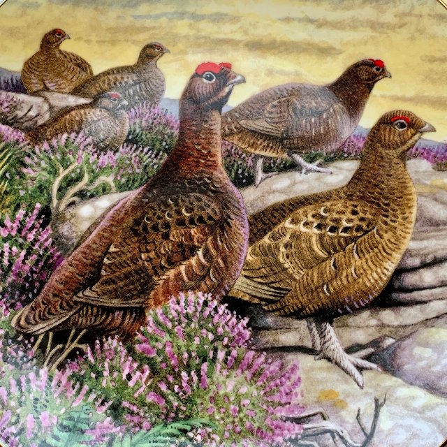Kuropatwy na wrzosowisku ❀ڿڰۣ❀ David Binns - Country Artists #8