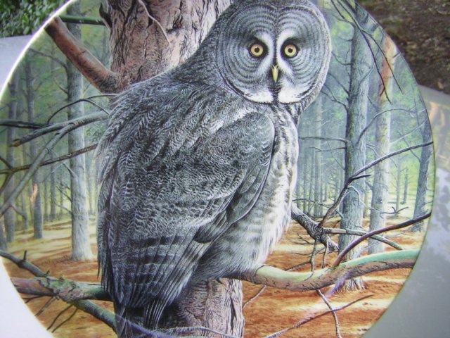 WEDGWOOD The Majesty of Owls - "Great Grey Owls" kolekcjonerski talerz porcelanowy