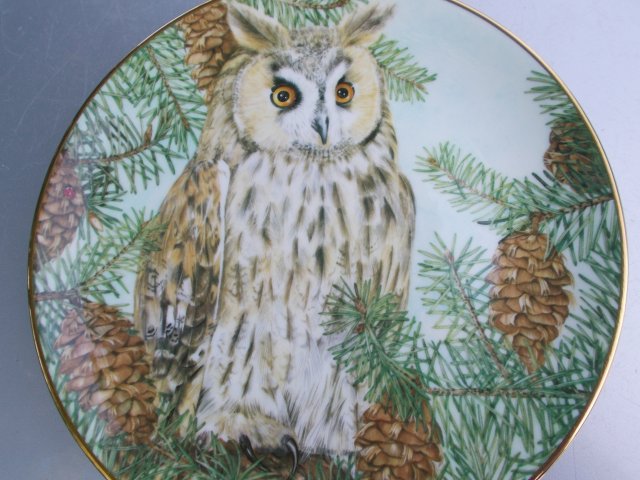 the british Owls collection -  Royal kendal - sheila mannes abbott - the long earred owl -Rzadko spotykany  kolekcjonerski talerz porcelanowy