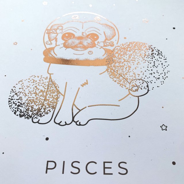 PISCES - ROSE GOLD PLAKAT (21x30)