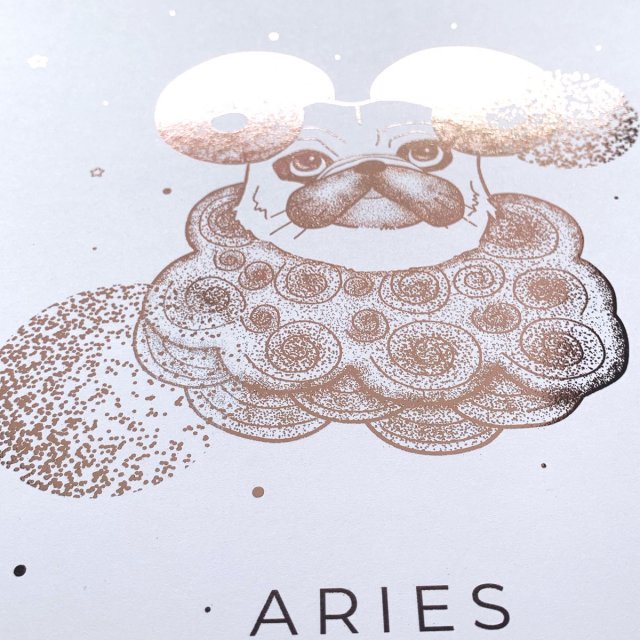 ARIES - ROSE GOLD PLAKAT (21x30)