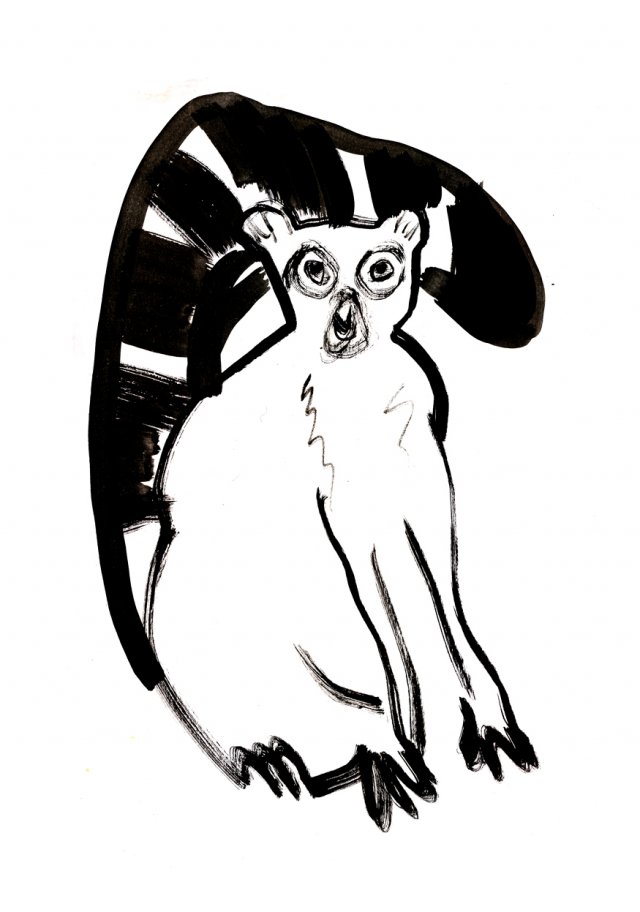 Lemur ilustracja